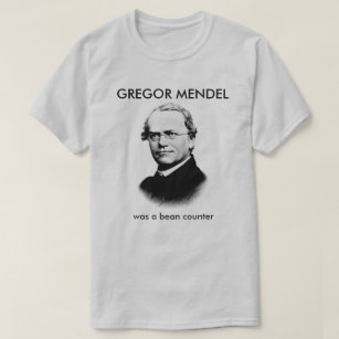 Camiseta Gregor Mendel era um contador de bean