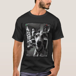 Camiseta Greyhound Pega Papai Noel Na Câmera Natal