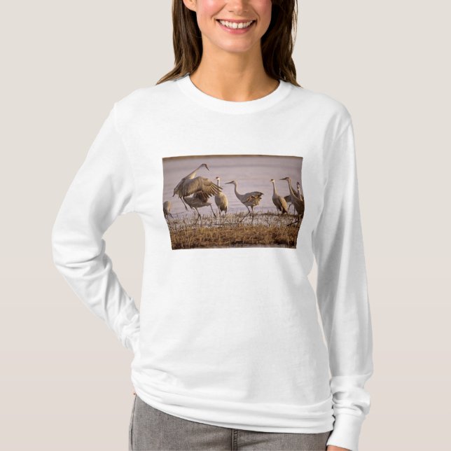 Camiseta Grou-lagartos (Grus canadensis) Platte (Frente)