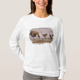 Camiseta Grou-lagartos Grus canadensis) Platte
