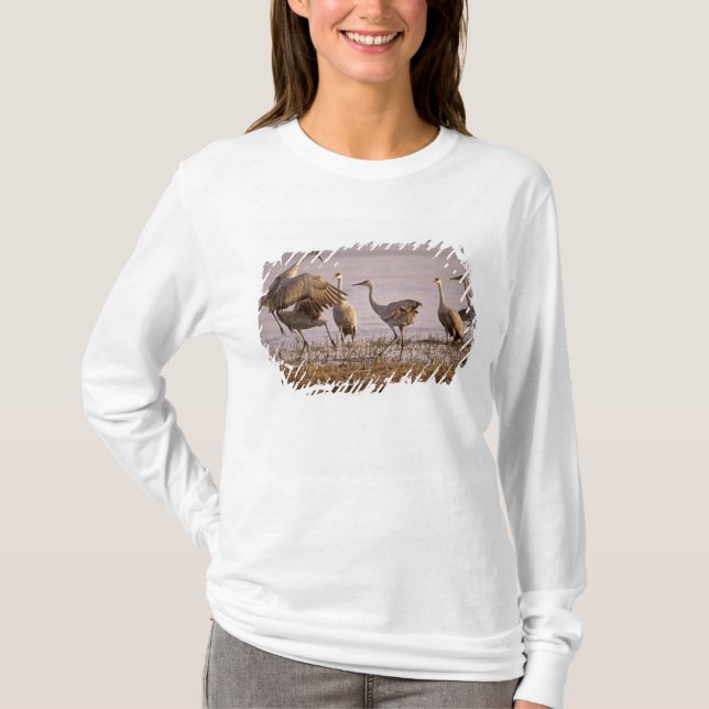 Camiseta Grou-lagartos Grus canadensis) Platte (Frente)