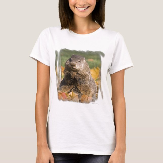 Camiseta Groundhog (Frente)