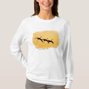 Camiseta Grouse da Serra pousando ao pôr do sol