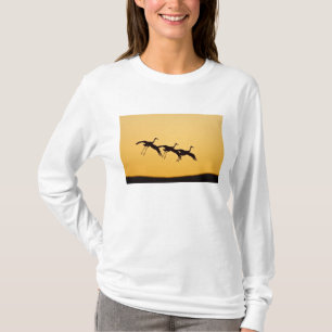 Camiseta Grouse Grouillac chegando ao pôr do sol