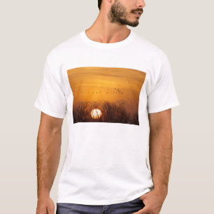 Camiseta Grouves-da-areia silhuetados contra o sol nascente