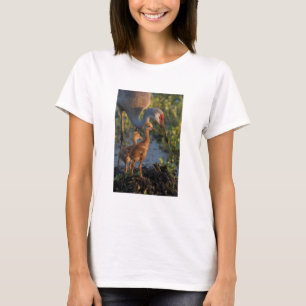 Camiseta Grua-de-areia-com filhotes, Flórida