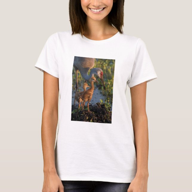Camiseta Grua-de-areia-com filhotes, Flórida (Frente)