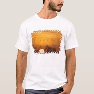 Camiseta Gruas de Sandhill silhuetas contra sol ascensão