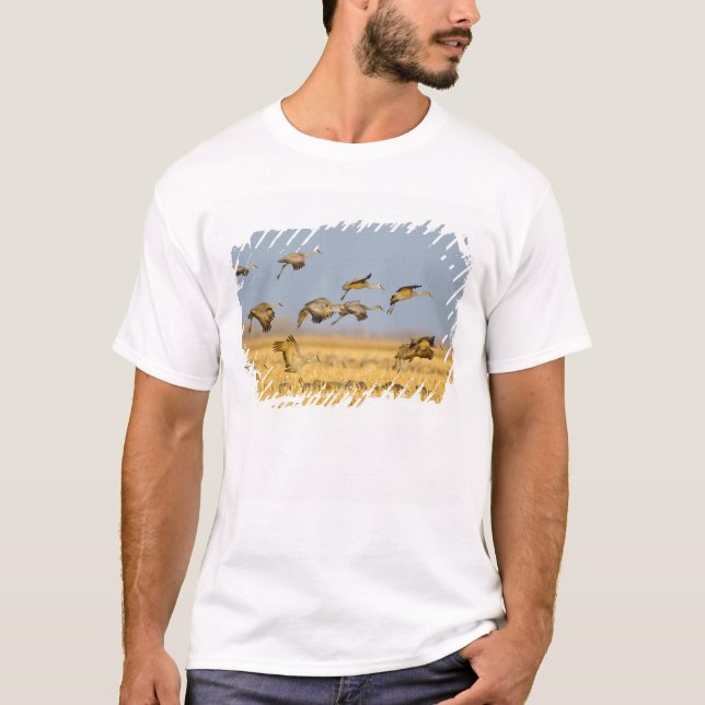 Camiseta Gruas-sanduíche terrestres em campos de milho (Frente)