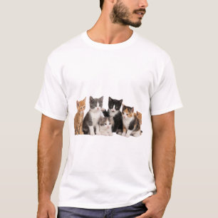 Camiseta Grupo de Adesivos PNG Transparente de Gatinhos Fof