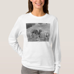 Camiseta Grupo de cervos na fotografia de Hot Springs