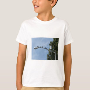 Camiseta Grupo de oito pombos que sentam-se no cargo Nea da
