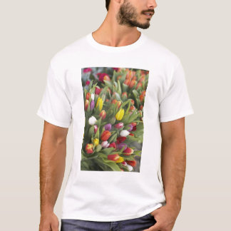 Camiseta Grupos de tulipas coloridas