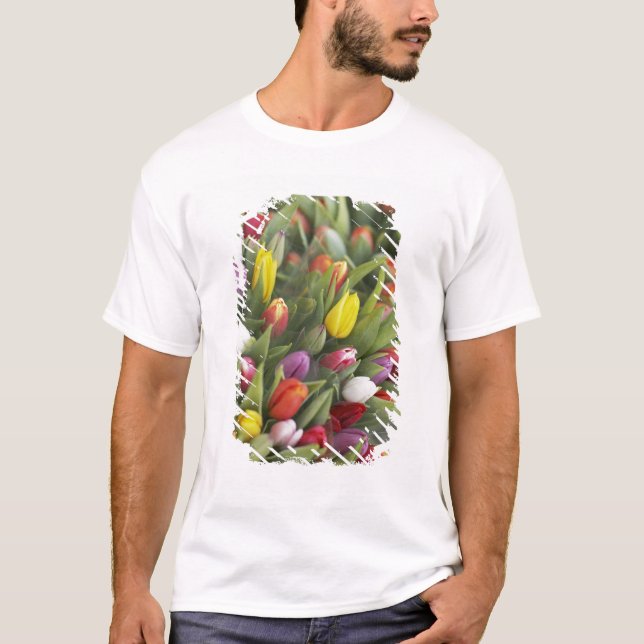 Camiseta Grupos de tulipas coloridas (Frente)