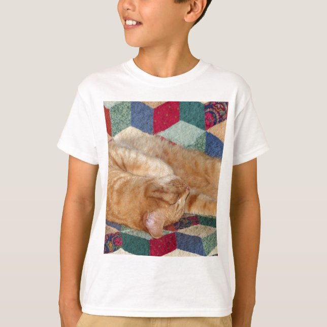 Camiseta Guarda de Gatos (Frente)