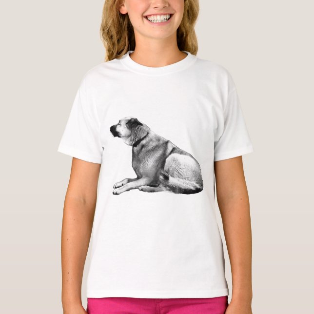 Camiseta Guardião Iluminado Lateralmente (Frente)