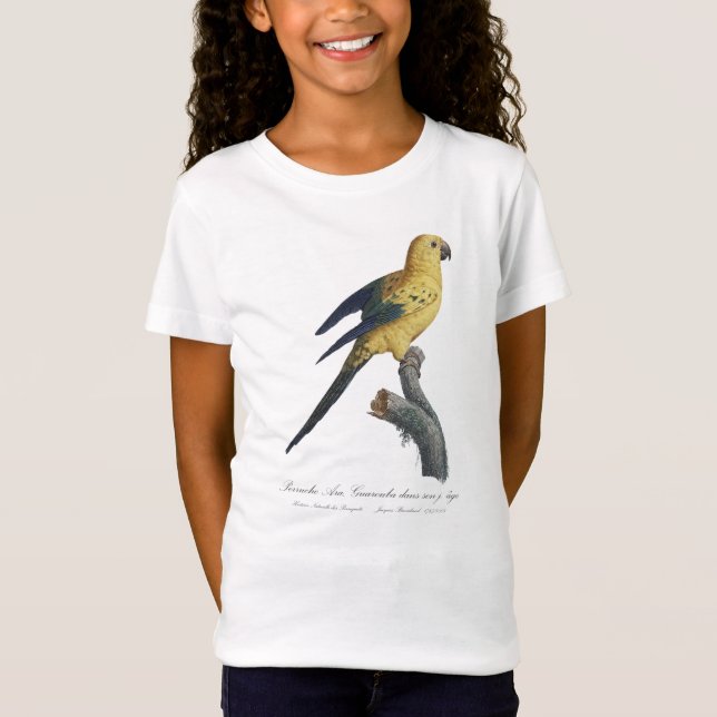 Camiseta Guarouba dans sons jeune age / periquito do Sol (Frente)
