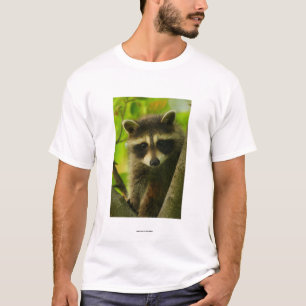 Camiseta Guaxinim