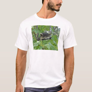 Camiseta Guaxinim Sneaky - t-shirt da juventude