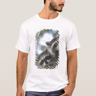 Camiseta Guaxinins Procyon Lotor) do Fish Lake, Central