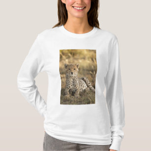 Camiseta Guepardo, Acinonyx jubatus