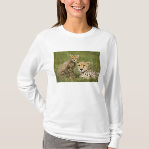 Camiseta Guepardo, Acinonyx jubatus, com filhote