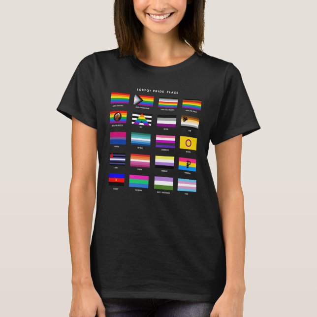 Camiseta Guia de Sinalizador de Ordenação LGBTQ+ (Frente)