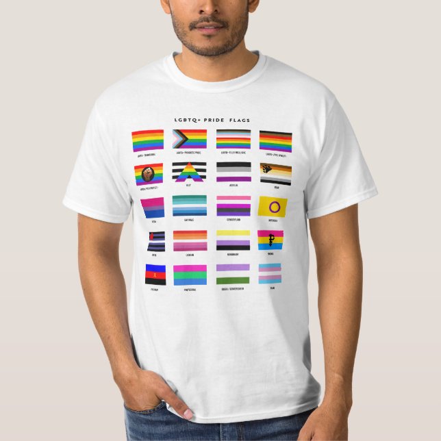 Camiseta Guia de Sinalizador de Ordenação LGBTQ+ (Frente)
