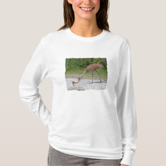 Camiseta Guindastes de Sandhill do pássaro da mãe e do
