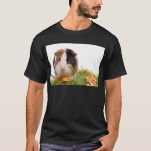 Camiseta guinea pigs tem-se lawn