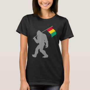 Camiseta Guinée Ou Bandeira Guineense Na Bandeira Da Guiné