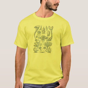 Camiseta Haeckel