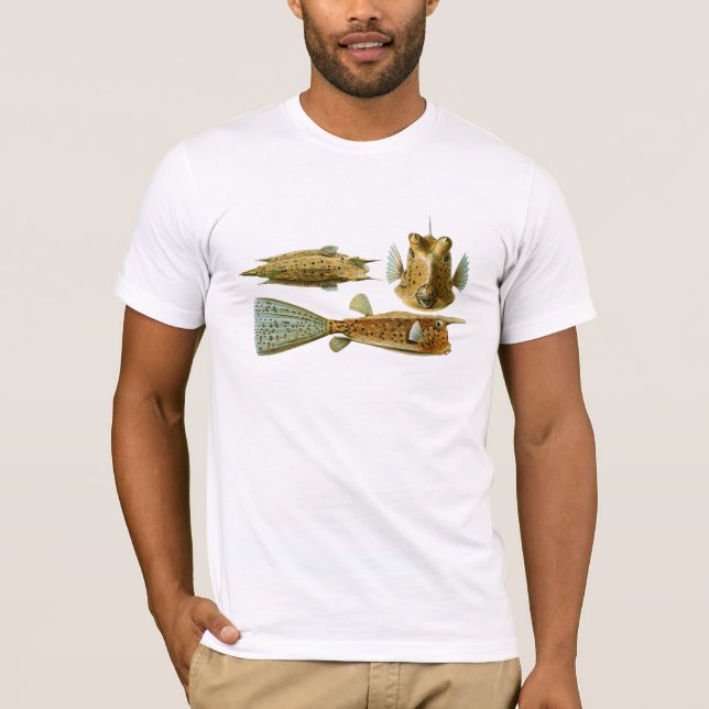 Camiseta Haeckel Fish (Frente)