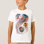 Camiseta Haeckel Jellyfish<br><div class="desc">Vintage Haeckel ilustra vários tipos de águas-vivas</div>