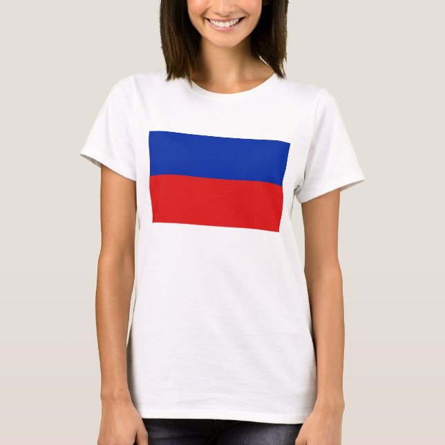 Camiseta Haiti Flag x Map T-Shirt (Frente)