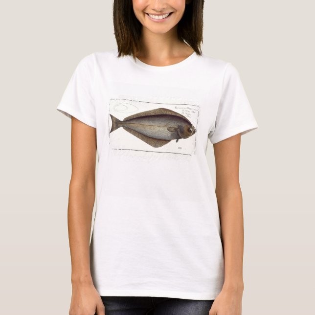 Camiseta Halibut (Pleuronectes Hippoglossus), placa XLVII p (Frente)