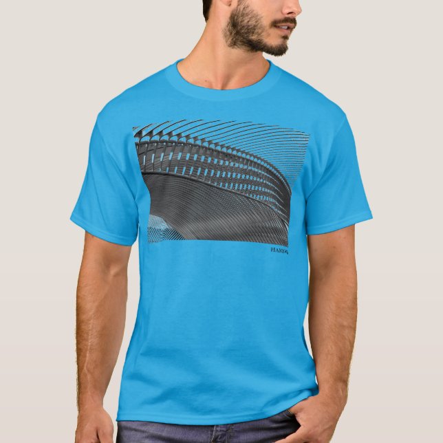 Camiseta HAMbWG - T-Shirt - Arch 1920 010417 1003A (Frente)
