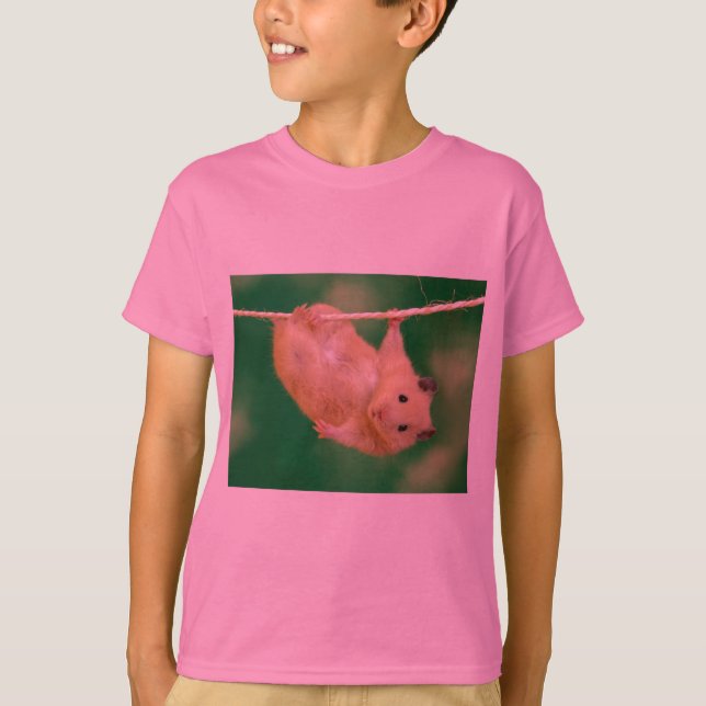 Camiseta hamster bobo (Frente)