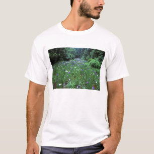 Camiseta Hana Shobu (Íris Aquática Japonesa), Santuário Mei