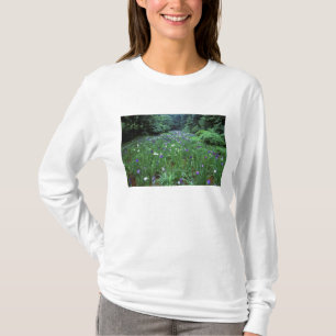 Camiseta Hana Shobu (Íris Japonesa de Água), Santuário Meij
