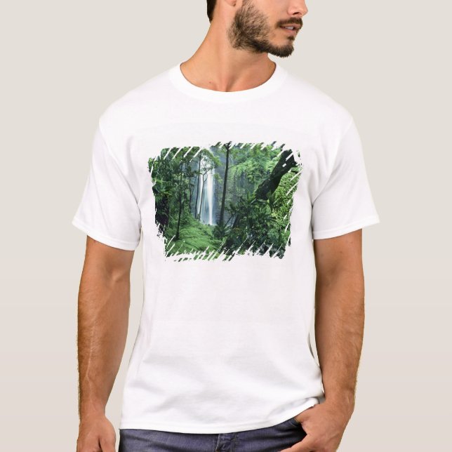 Camiseta Hanakapiai Falls ao longo da costa de Na Pali, Kau (Frente)