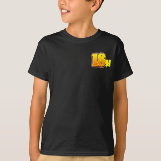 Camiseta Harbaugh AJ 2012