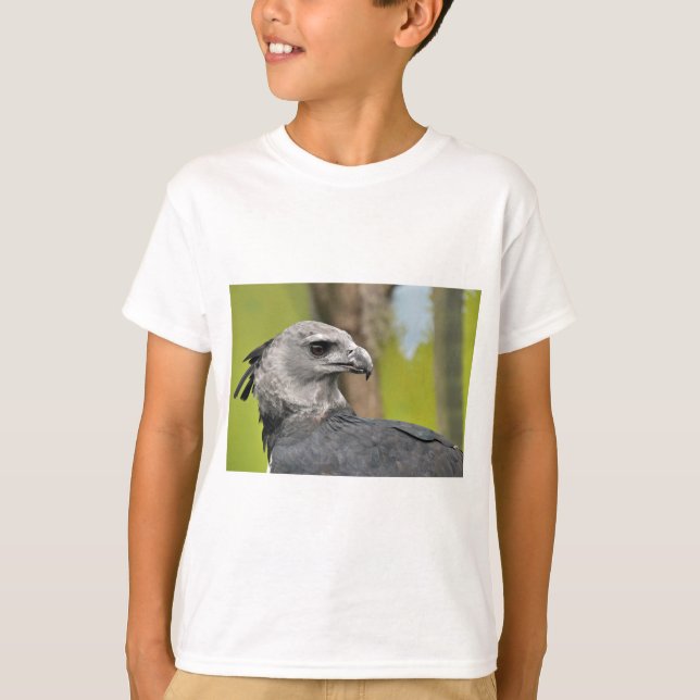 Camiseta Harpy Eagle 1.JPG (Frente)