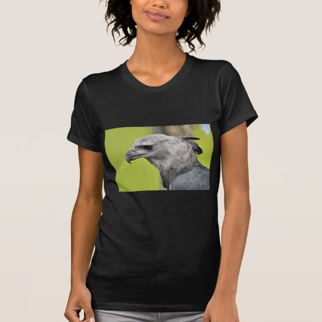 Camiseta Harpy Eagle 2.JPG (Frente)