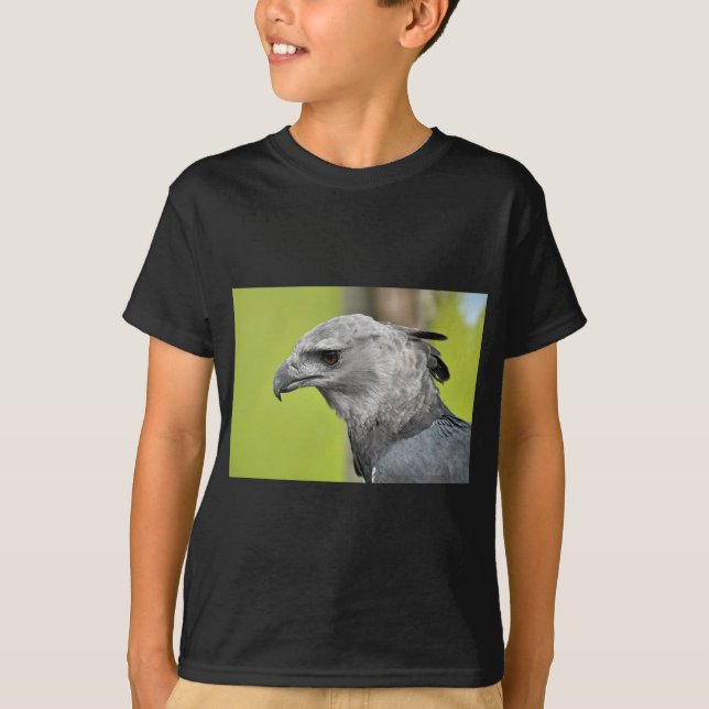 Camiseta Harpy Eagle 2.JPG (Frente)