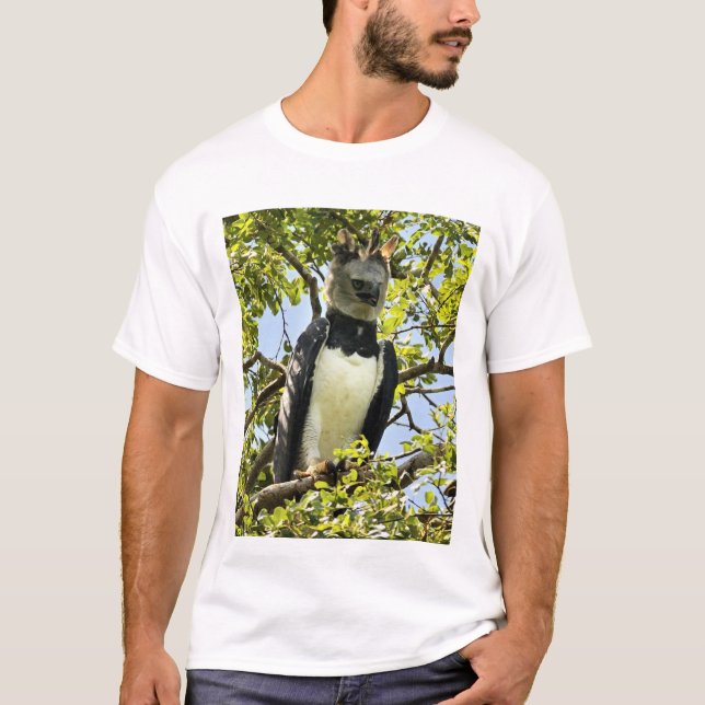 Camiseta Harpy Eagle, adulto (Frente)