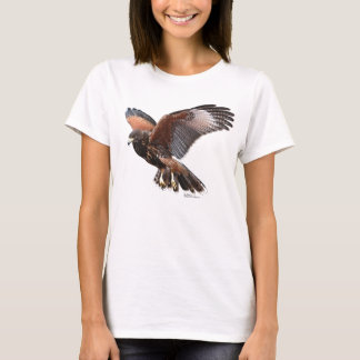 Camiseta Harris Hawk em vôo
