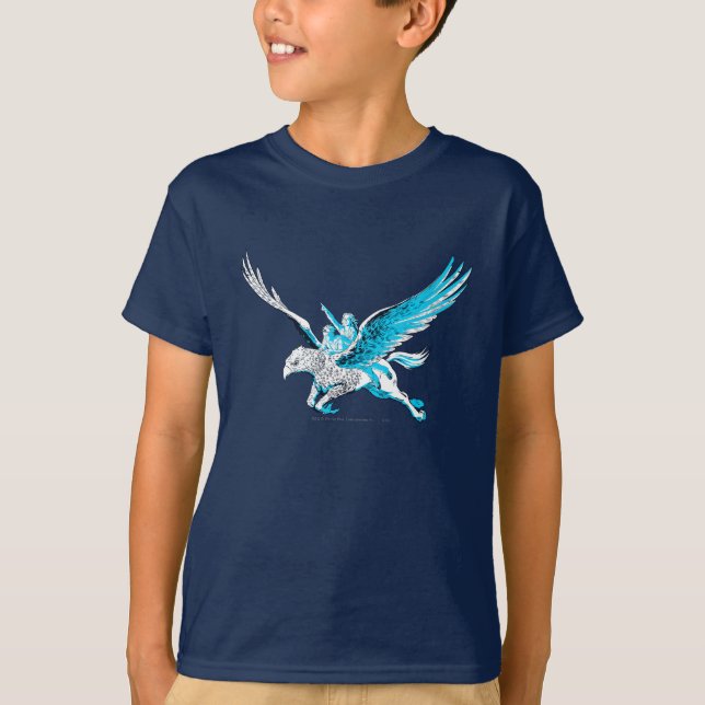 Camiseta Harry e Hermione em um Hippogriff (Frente)