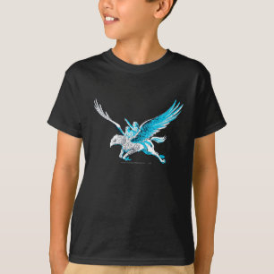 Camiseta Harry e Hermione em um Hippogriff