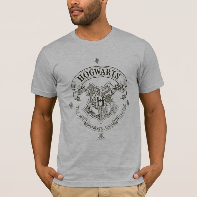 Camiseta Harry Potter| Bandeiras Hogwarts (Frente)